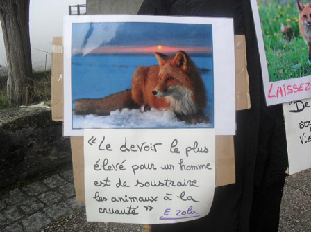 Une affiche de la CVN pour défendre les renards