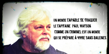 Paul Watson