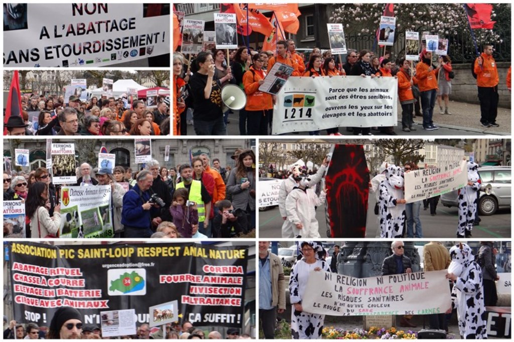 Scènes de la Manifestation à Guéret du 29 Mars 2014