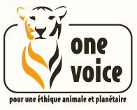 logo one voice