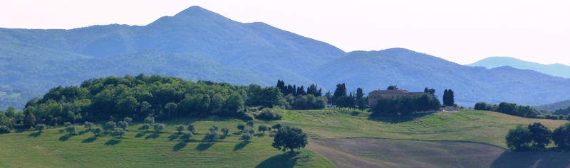 Paysage d'été
