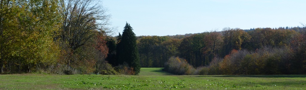 Automne