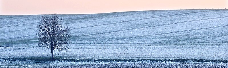 Paysage d'hiver
